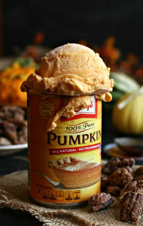 Pumpkin Ice Cream